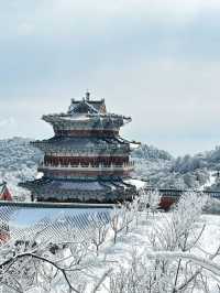 這裡不是阿凡達，是地球上的張家界！