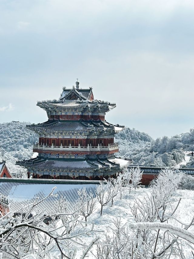 這裡不是阿凡達，是地球上的張家界！