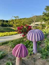 金灣木頭沖|走進童話世界