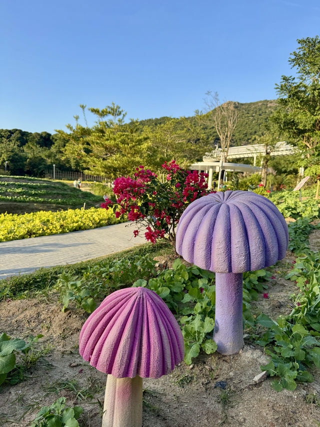 金灣木頭沖|走進童話世界 金灣木頭沖|走進童話世界