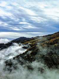 錯過等一年！成都周邊秋日彩林免費開放