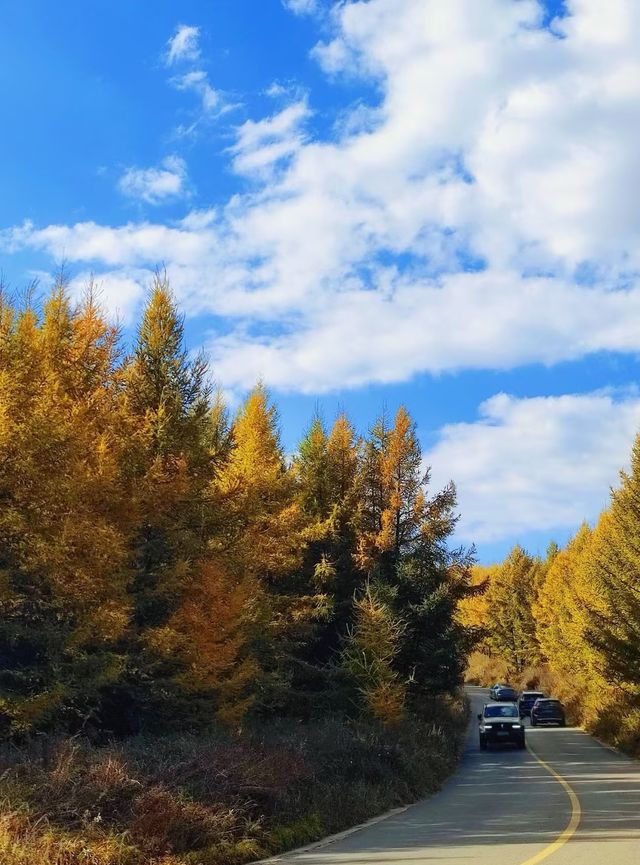 草原天路中段景色美極了,適合自駕遊 草原天路中段景色美極了,適合自駕遊