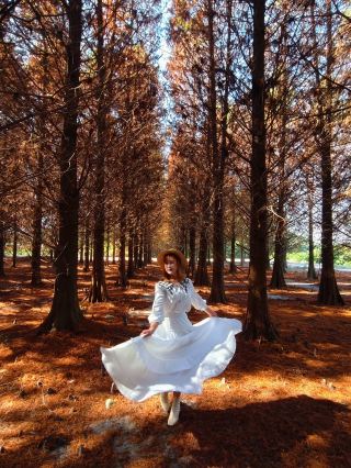 Absolutely stunning! Renting out the entire Metasequoia forest for a Korean drama-level romance