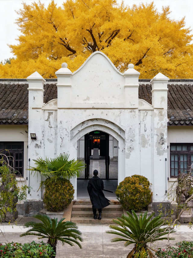 上海周邊被《國家地理》推薦的海邊小城 上海周邊被《國家地理》推薦的海邊小城