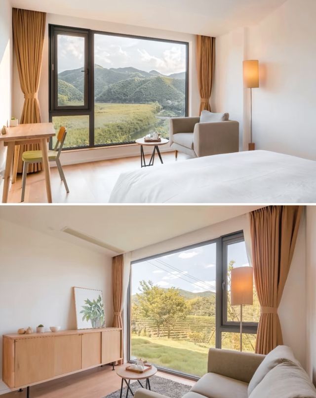 大樂之野·綠山牆住進茶園山谷裡的森系山居