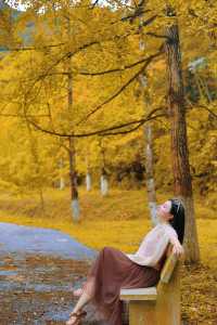 走進韶關帽子峰，彷彿踏入一幅金秋畫卷