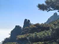 聽我的，不費腿看美景