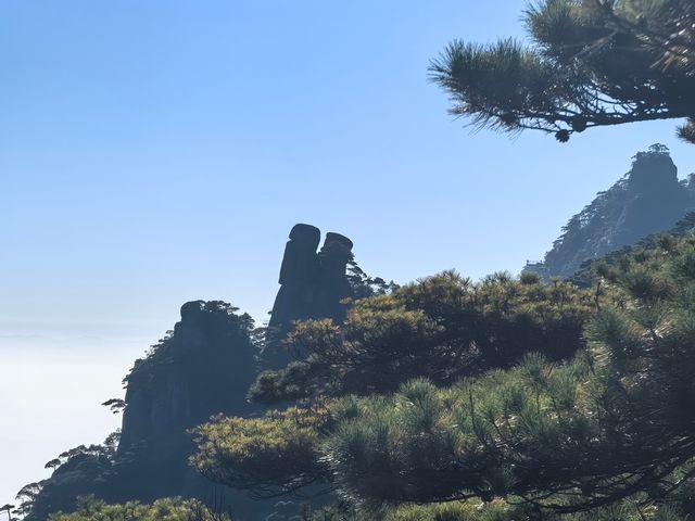 聽我的，不費腿看美景