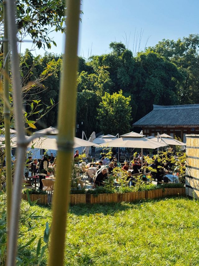 漫步詩歌裡成都浣花溪公園的神仙玩法