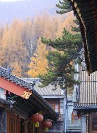 【鴻達酒店,比家還舒坦的歇腳地兒!】