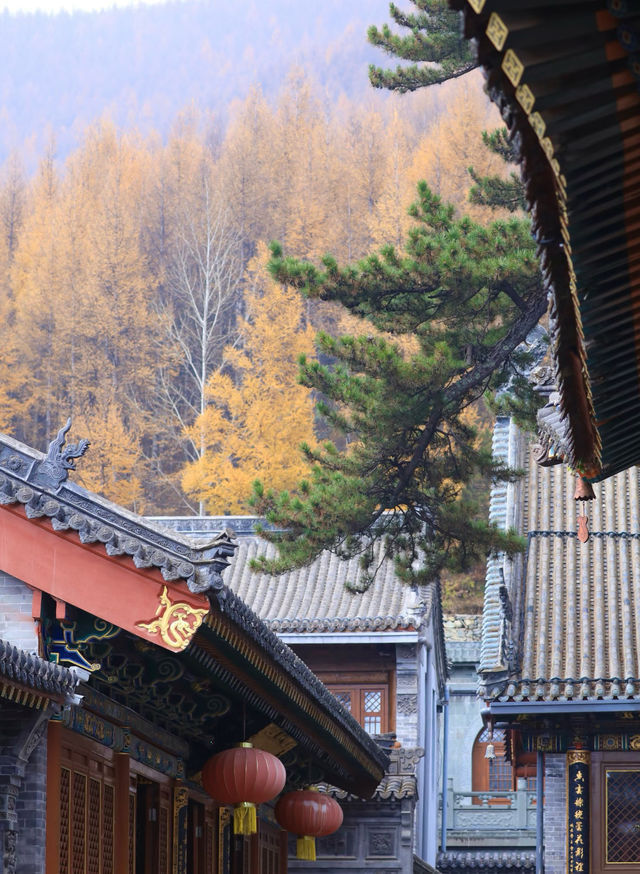 【鴻達酒店,比家還舒坦的歇腳地兒!】 【鴻達酒店,比家還舒坦的歇腳地兒!】