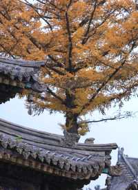 【鴻達酒店,比家還舒坦的歇腳地兒!】