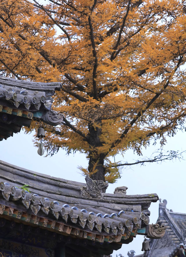 【鴻達酒店,比家還舒坦的歇腳地兒!】 【鴻達酒店,比家還舒坦的歇腳地兒!】