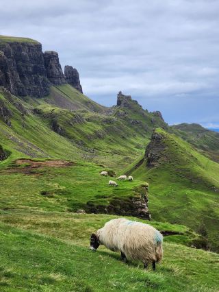 스코틀랜드 고원 전세차｜3일간 해리포터와 네스호를 만나다