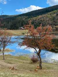 普達措生態秘境指南