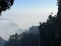 [11.05]跌宕起伏的張家界森林公園·攻略參考