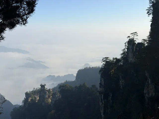 [11.05]跌宕起伏的張家界森林公園·攻略參考