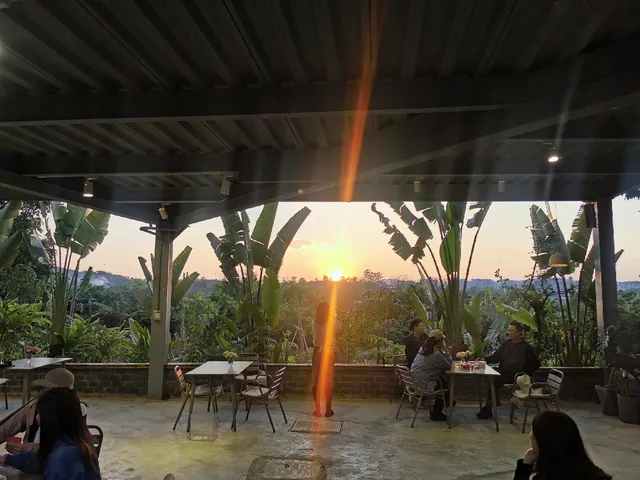 春節版納普洱行 春節版納普洱行