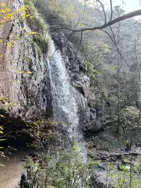 四明山十字褲徒步 上海-餘姚