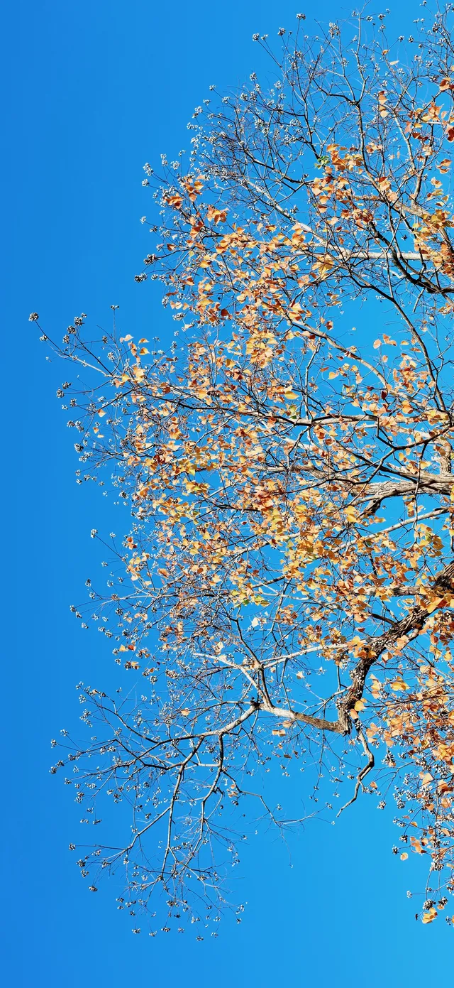 杭州出發|第 站黃山腳下週末兩日賞秋景 杭州出發|第 站黃山腳下週末兩日賞秋景