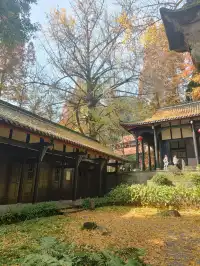 都江堰靈巖寺最容易領的獎牌