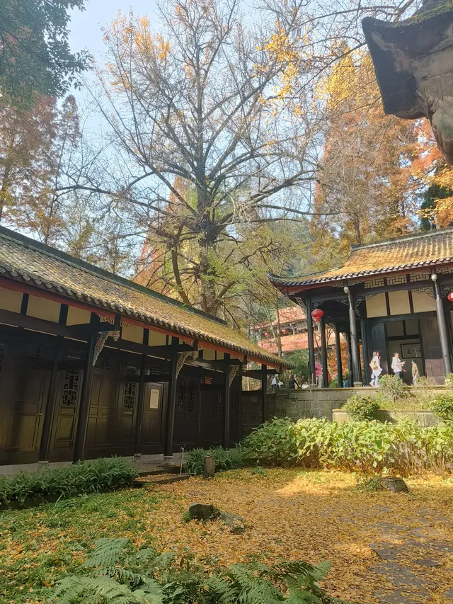 都江堰靈巖寺最容易領的獎牌