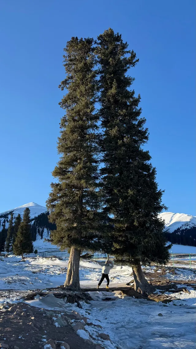 冬季伊犁|我在新疆找到的冰雪 冬季伊犁|我在新疆找到的冰雪