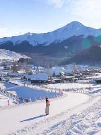 自駕新疆｜凜冬之際，與喀納斯的一場邂逅～