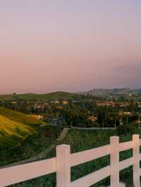 Chino Hills跑步路線運動起來真舒服