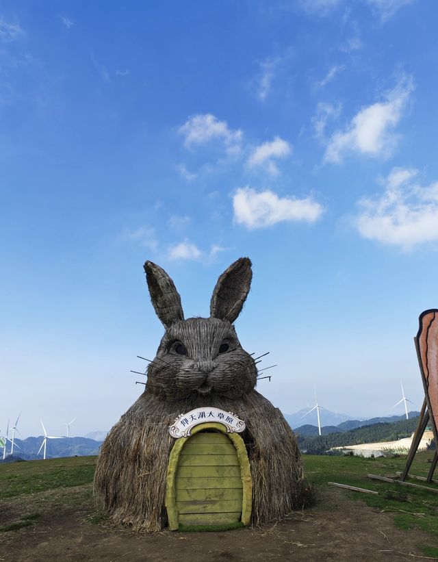 霧淞後遇晴天 影相+酒店雙絕