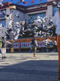 香格里拉3天2夜｜住香格里拉歸塵民宿高反退散！納帕海／獨克宗