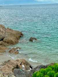 一起來看深圳桔釣沙