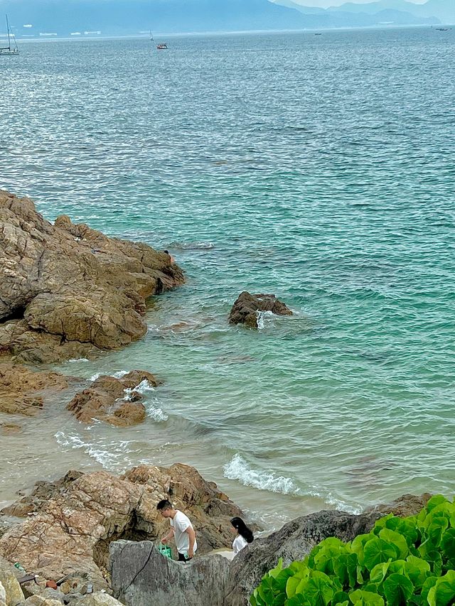 一起來看深圳桔釣沙 一起來看深圳桔釣沙