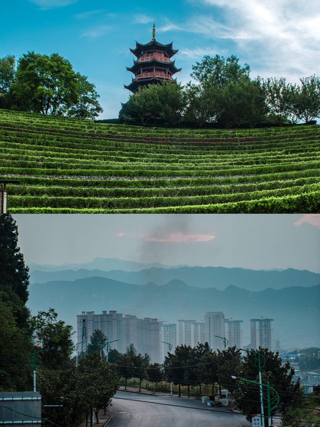 成都3h直達清涼秘境|反向遊貴州畢節,20℃夏天太治癒 成都3h直達清涼秘境|反向遊貴州畢節,20℃夏天太治癒