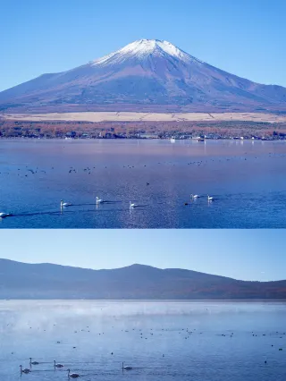 If you want to visit Mount Fuji, I recommend Lake Yamanaka! Fewer people, peaceful, and great for casual photos!