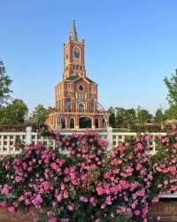 【打卡豐城愛情花卉小鎮】