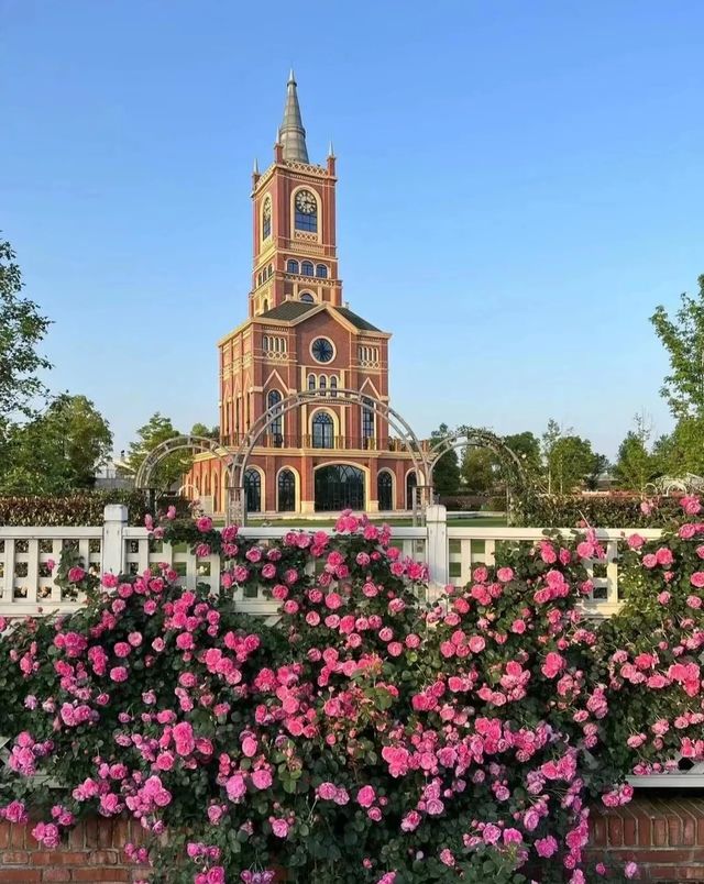 【打卡豐城愛情花卉小鎮】 【打卡豐城愛情花卉小鎮】