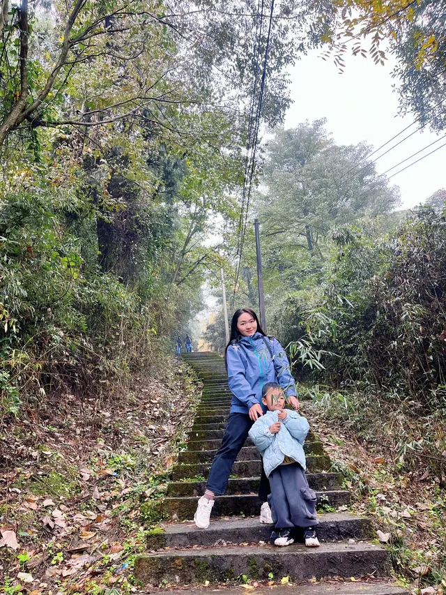 看2025年葛仙山最後一場銀杏雨11.16live