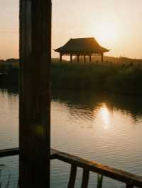 杭州灣濕地公園親子攻略!觀鳥+科普+遛娃一站