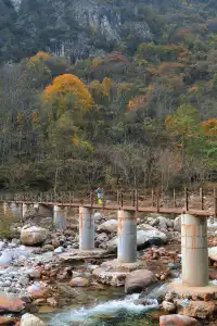 平武老河溝|小眾彩林秘境徒步全攻略