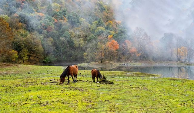 初冬的拖烏山,美得像一場不願醒來的夢 初冬的拖烏山,美得像一場不願醒來的夢