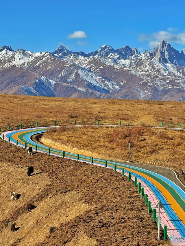 遇見理塘:雲端聖地的朝聖之旅 遇見理塘:雲端聖地的朝聖之旅