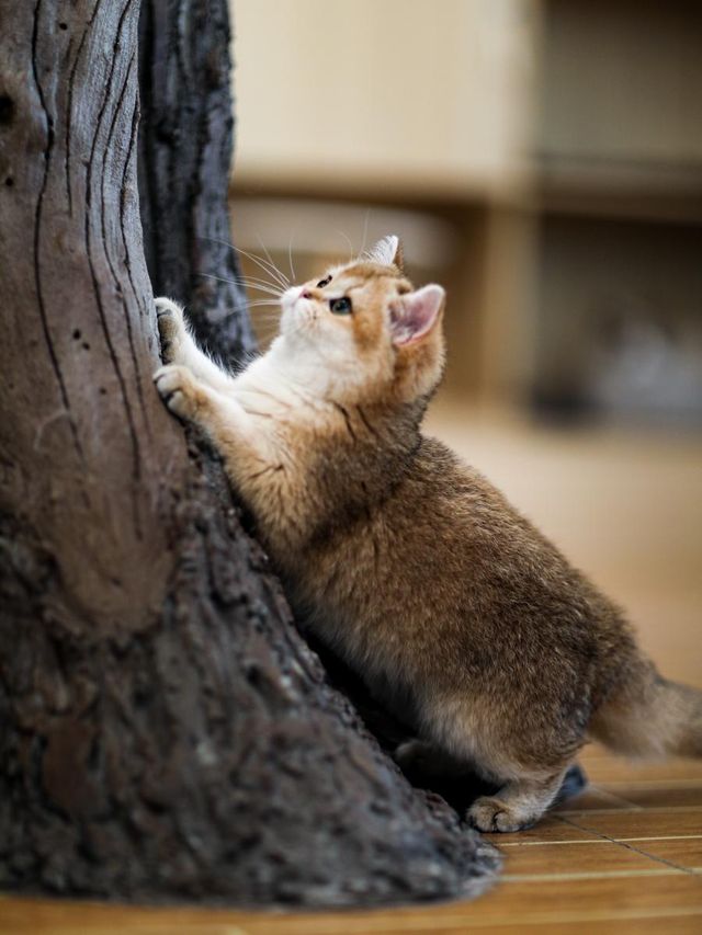 天目湖涵田，全家嗨玩不挪窩！