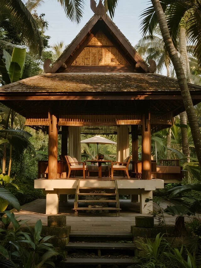 版納12月親子遊|雨林裡的童趣冒險 版納12月親子遊|雨林裡的童趣冒險