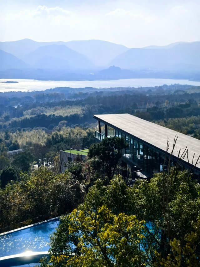 宜興神仙酒店！懸崖房+寵物友好！住到不想走