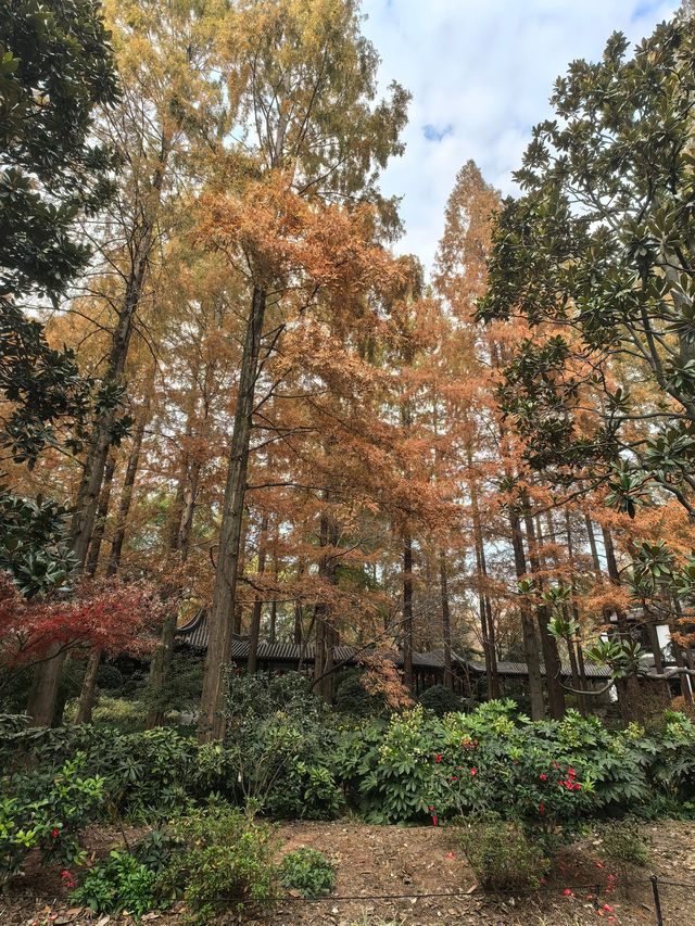 上海植物園隨拍