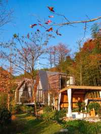 在安吉住進夢中情房冬日泡湯看山景也太絕了