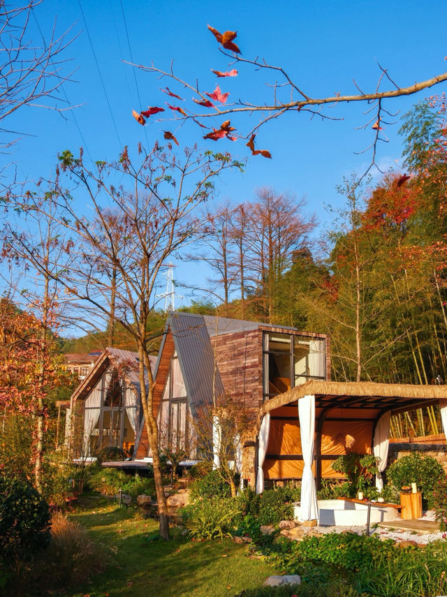 在安吉住進夢中情房冬日泡湯看山景也太絕了 在安吉住進夢中情房冬日泡湯看山景也太絕了