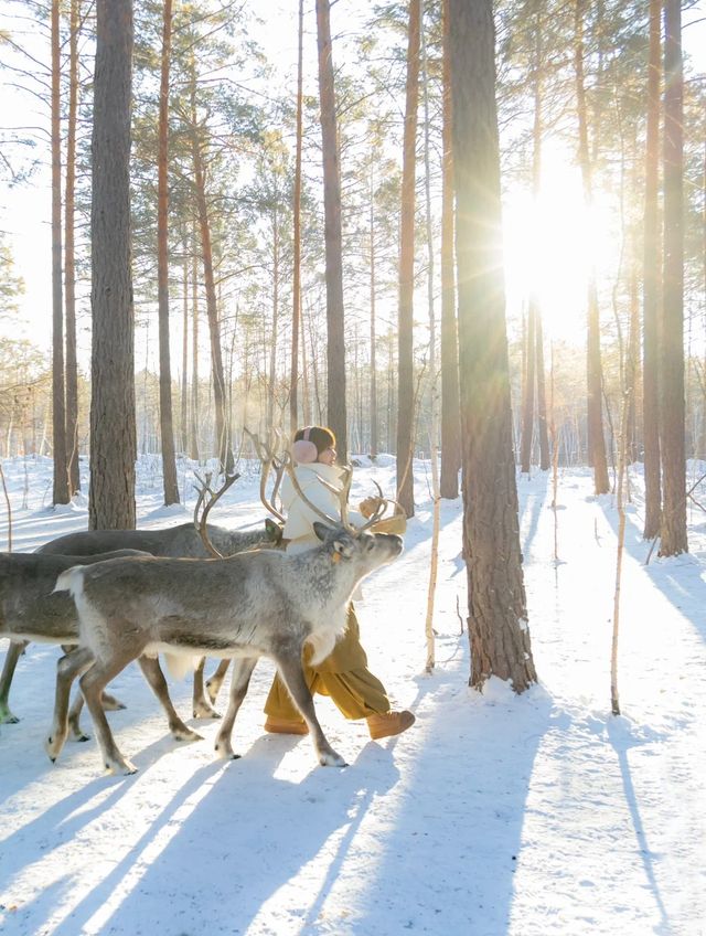 剛從漠河回來回來！漠河3天2晚旅遊攻略