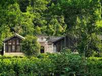 青木川瞿家大院｜古董級四合院民宿體驗